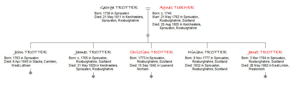 Picture Chart showing Christian Trotter and her siblings known to have lived until adulthood.