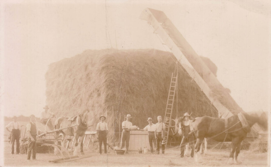 Picture  Making Hay at Longhoughton circa 1920s.  A group of farm workers in front of a Haystack with heavy horses and an elevator.