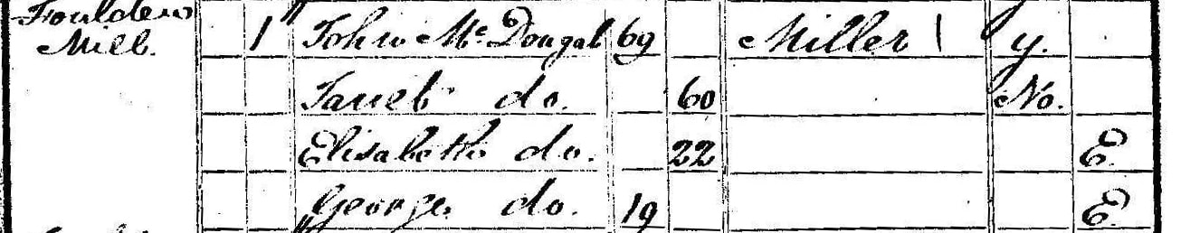 Picture  !841 Census for John McDougall his wife Janet Wilson and their two youngest children Elizabeth at George