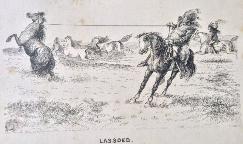 Picture  'Lassoed' Pen and Ink drawing by G Wilson dated 1881, from the sketch book of Mary Ogilvie Davison