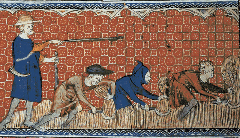 Picture Medieval Reeve and Serfs cutting corn.  Wiki Commons